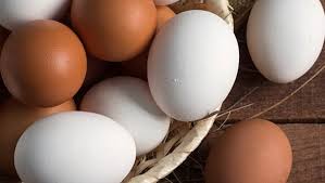 सफेद अंडा या ब्राउन अंडा, कौन है प्रोटीन का पावरहाउस, किसके सेवन से फौलादी बनेगा शरीर