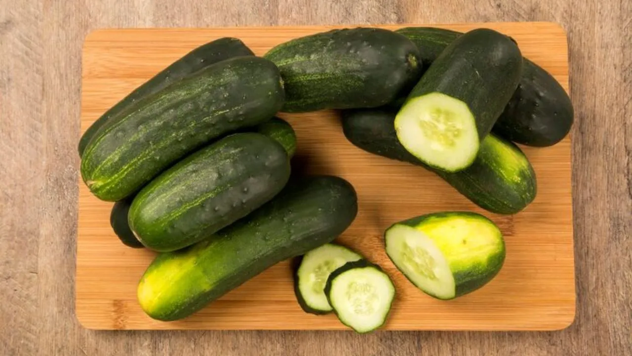कड़वा खीरा अब नहीं बिगाड़ेगा सलाद का स्वाद! बाजार जाने से पहले जान लें ये सीक्रेट तरीका