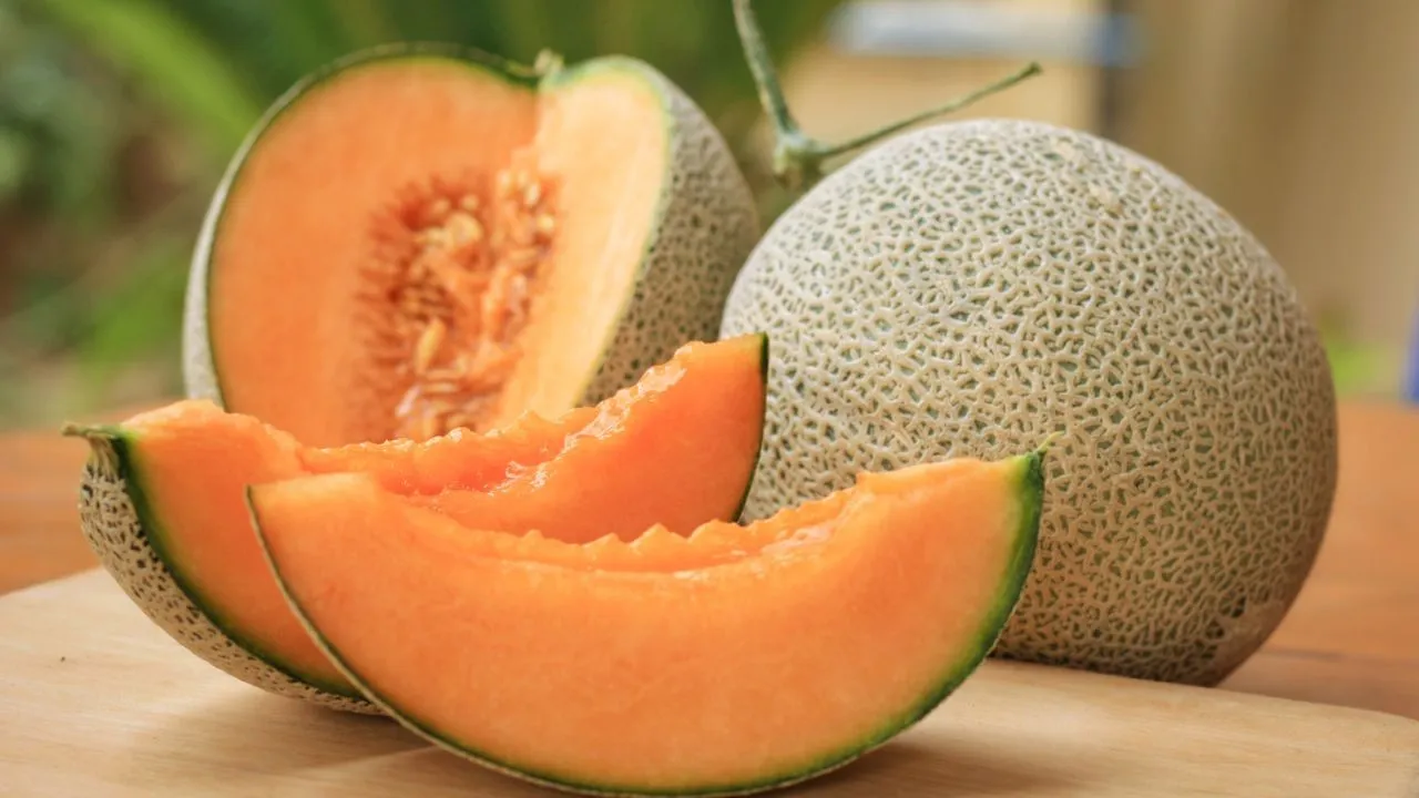 Muskmelon Side Effects: खरबूज खाने से कब है नुकसान का खतरा? ज़रूर जानिए