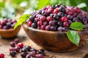 Phalsa Benefits: गर्मियों का असली दुश्मन है ये छोटा सा फल, फायदे जानकर आज ही शुरू कर देंगे खाना