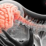 क्या सर्वाइकल का दर्द दिमाग को भी करता है नुकसान? कौन से लक्षण खतरनाक