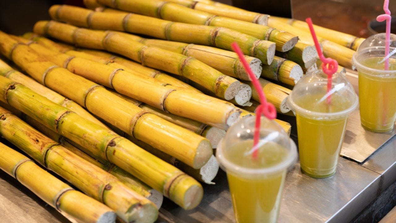 Sugarcane Juice : किन लोगों को नहीं पीना चाहिए गन्ने का जूस? डॉक्टर से जानें