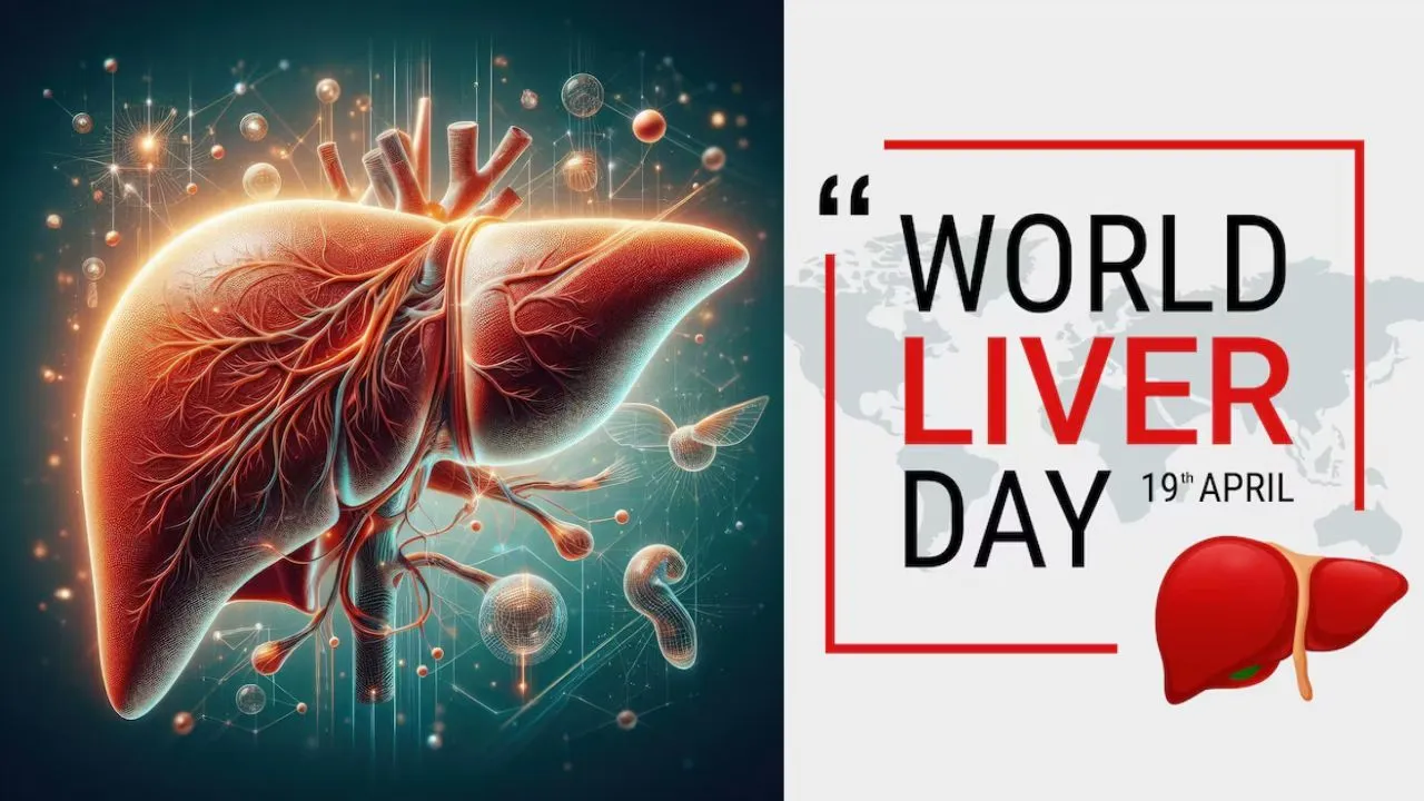 World Liver Day 2026: लिवर डैमेज के संकेत दिखने से पहले अपनाएं ये 4 आदतें, वरना हो सकता है बड़ा नुकसान