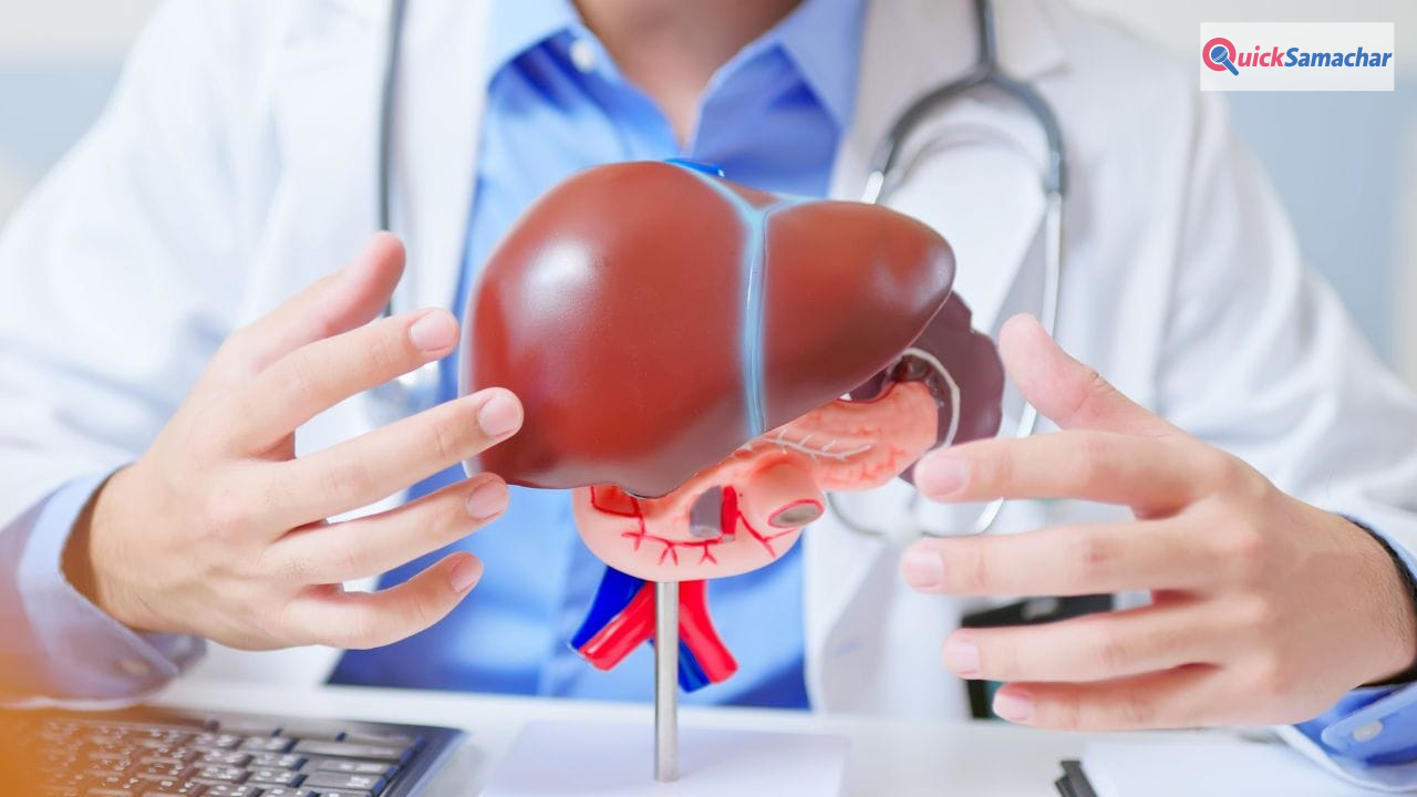 World Liver Day: एनर्जी ड्रिंक लिवर को कर रहीं खराब, रिसर्च में दावा