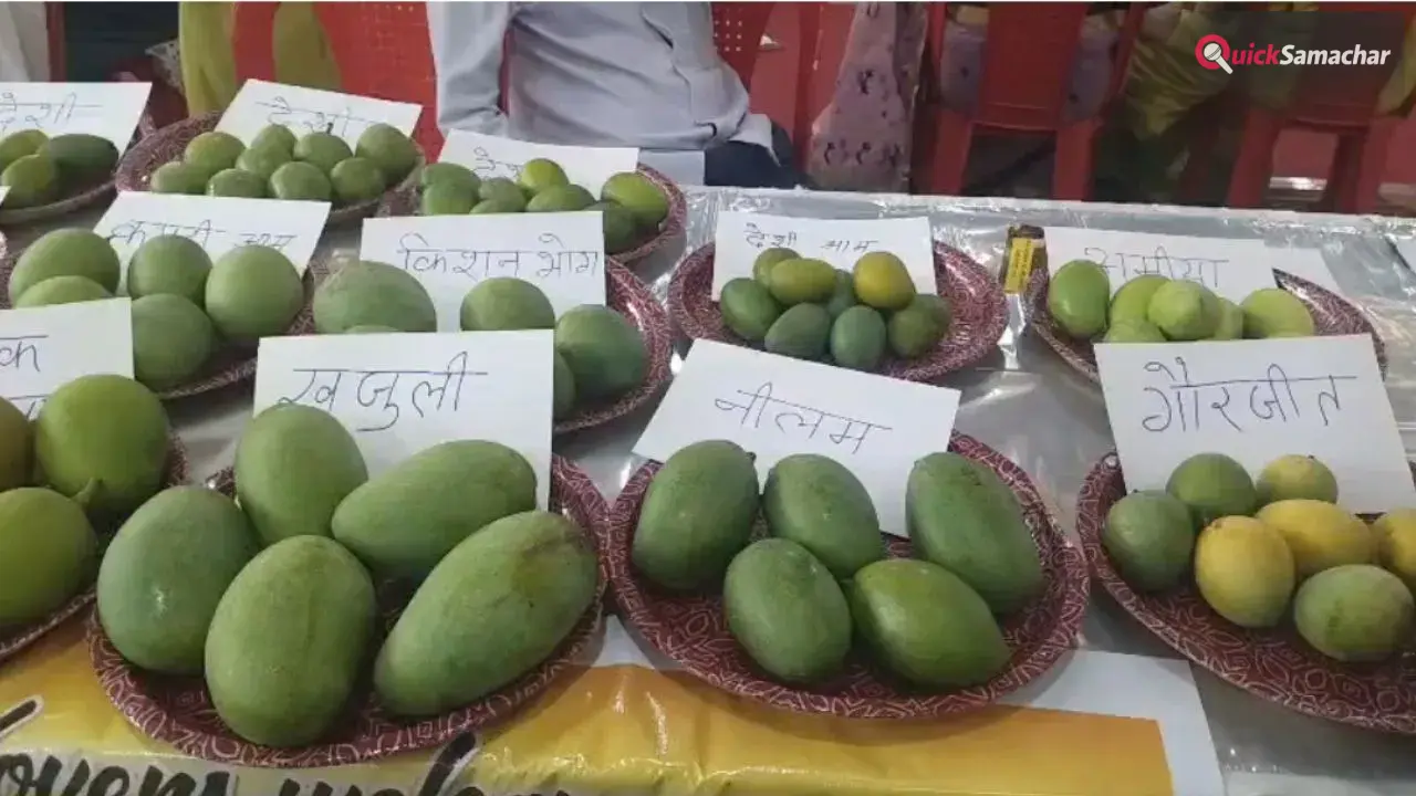 आम महोत्सव में छाया ढाई लाख रुपये किलो का आम, चार दर्जन से अधिक प्रजातियों ने खींचा लोगों का ध्यान