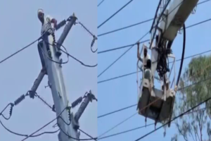 प्रेमिका के प्यार में हाईटेंशन खंभे पर चढ़ा युवक, दो दिन से नहीं हुई थी बात, खौफनाक मंजर देख अटकी सांसे​