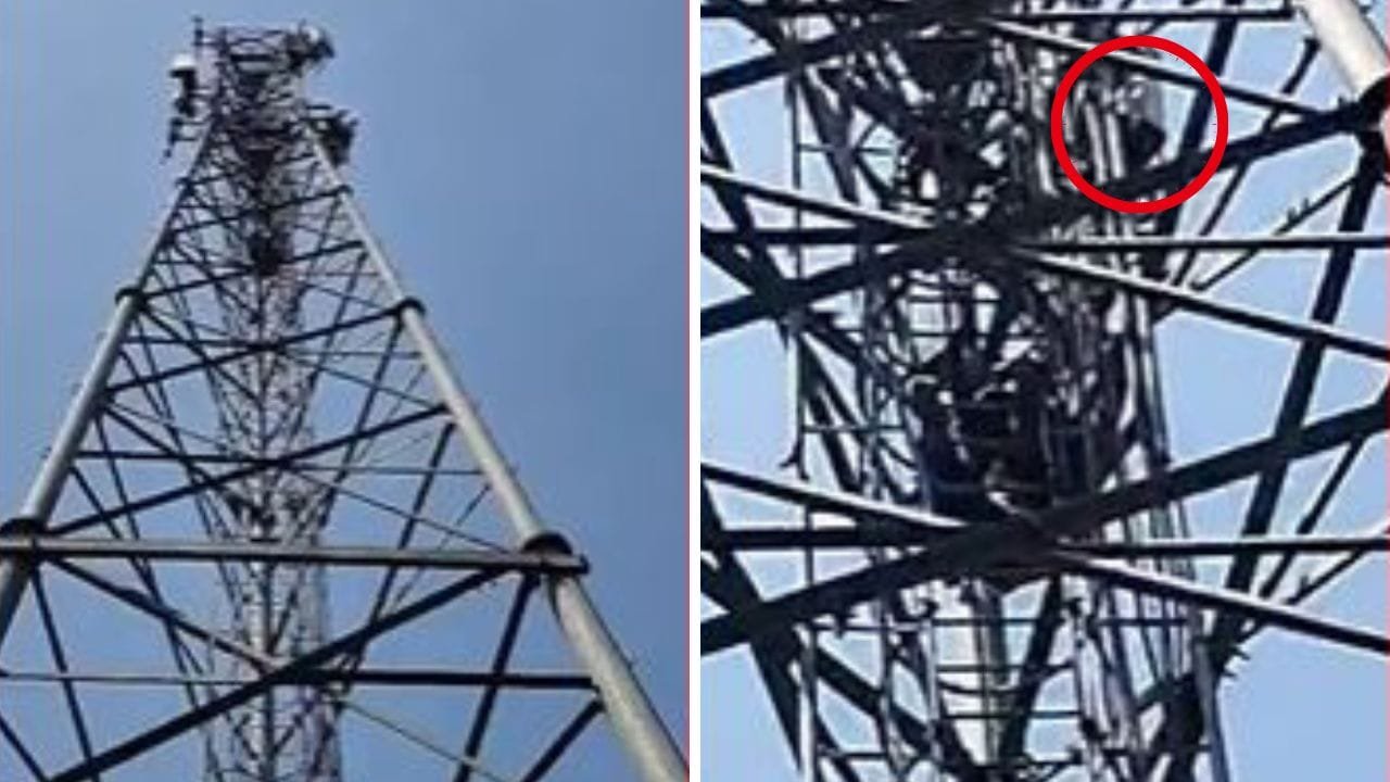 5 साल का प्यार, मंदिर में शादी, 1 महीने तक भी नहीं हुई विदाई तो… टॉवर पर चढ़ गई दुल्हन​