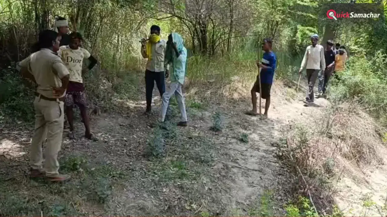 कानपुर में पेड़ पर चढ़े तेंदुए की फोटो निकली फर्जी; ग्रामीणों में थी दहशत, दोषियों के खिलाफ होगी कार्रवाई​