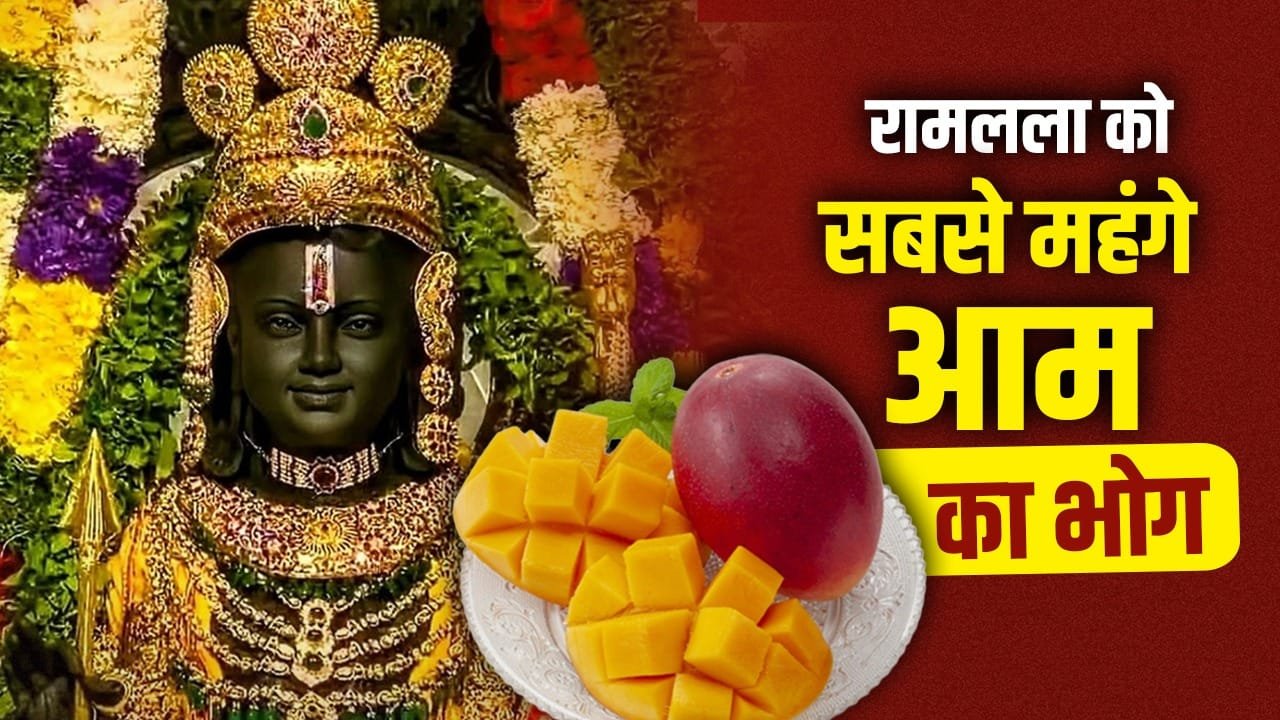 अयोध्या की मिट्टी में उगा सबसे महंगा जापानी मियाजाकी आम कितना खास? रामलला को लगा भोग​