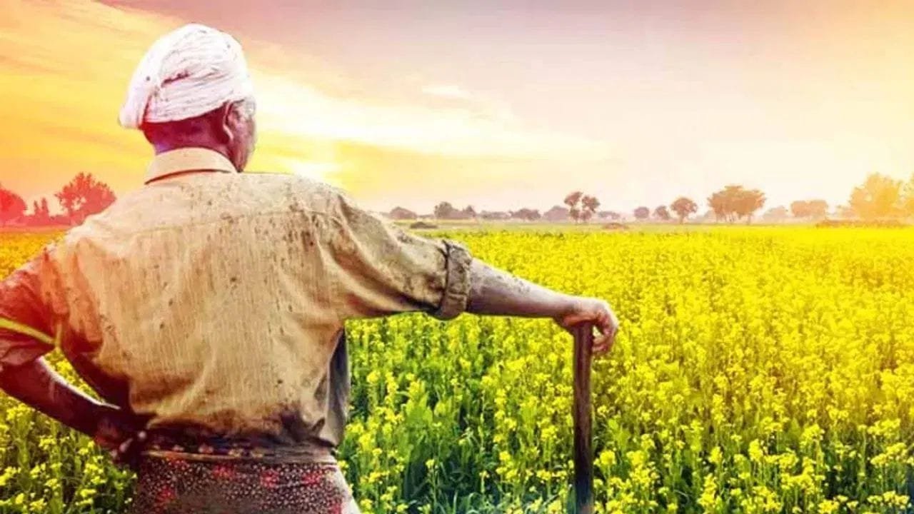 PM Kisan: 9.44 करोड़ किसानों के लिए खुशखबरी! इस दिन जारी होगी पीएम किसान की 23वीं किस्त