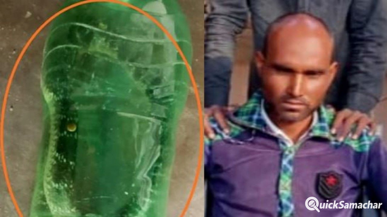 मेडिकल कॉलेज पहुंचा जहरीला सांप, हमरजेंसी वार्ड में अफरातफरी, युवक की मौत मेडिकल कॉलेज पहुंचा जहरीला सांप, हमरजेंसी वार्ड में अफरातफरी, युवक की मौत