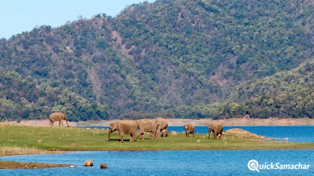World Ranger Day 2026: भारत के 10 सबसे खूबसूरत नेशनल पार्क, जहां हर कदम पर दिखेगा प्रकृति का अद्भुत नजारा World Ranger Day 2026: भारत के 10 सबसे खूबसूरत नेशनल पार्क, जहां हर कदम पर दिखेगा प्रकृति का अद्भुत नजारा