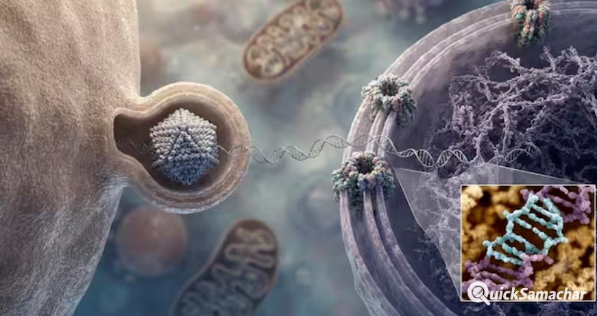 क्या है Gene Therapy? जिसके ट्रायल के बाद हुई 6 साल की बच्ची की मौत क्या है Gene Therapy? जिसके ट्रायल के बाद हुई 6 साल की बच्ची की मौत