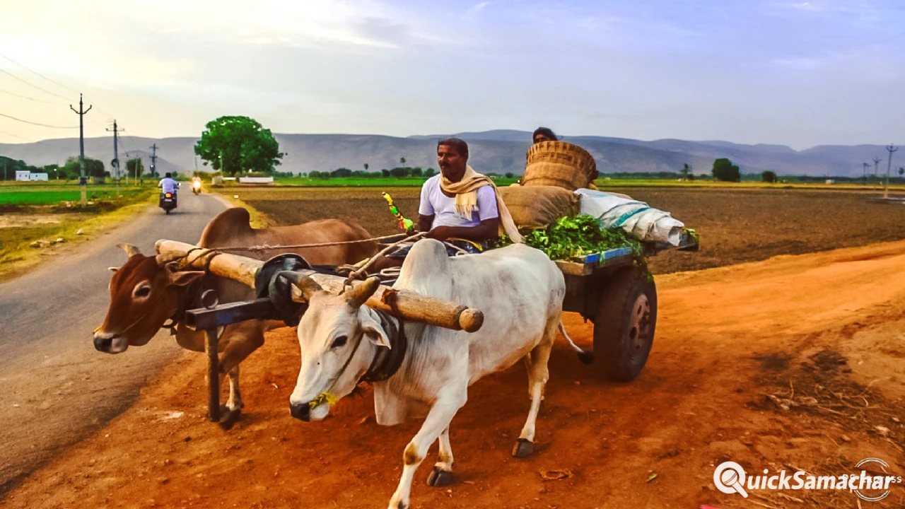 बैलगाड़ी चल रही थी और गाड़ीवान आराम से सो रहा था। एक सॉफ्टवेयर इंजीनियर ने यह देखा और बैलगाड़ी चल रही थी और गाड़ीवान आराम से सो रहा था। एक सॉफ्टवेयर इंजीनियर ने यह देखा और