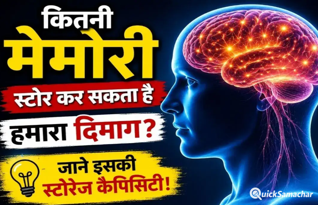 क्या इंसान के दिमाग की भी होती है स्टोरेज लिमिट? जानिए कितनी जानकारी संभाल सकता है हमारा मस्तिष्क.. क्या इंसान के दिमाग की भी होती है स्टोरेज लिमिट? जानिए कितनी जानकारी संभाल सकता है हमारा मस्तिष्क..