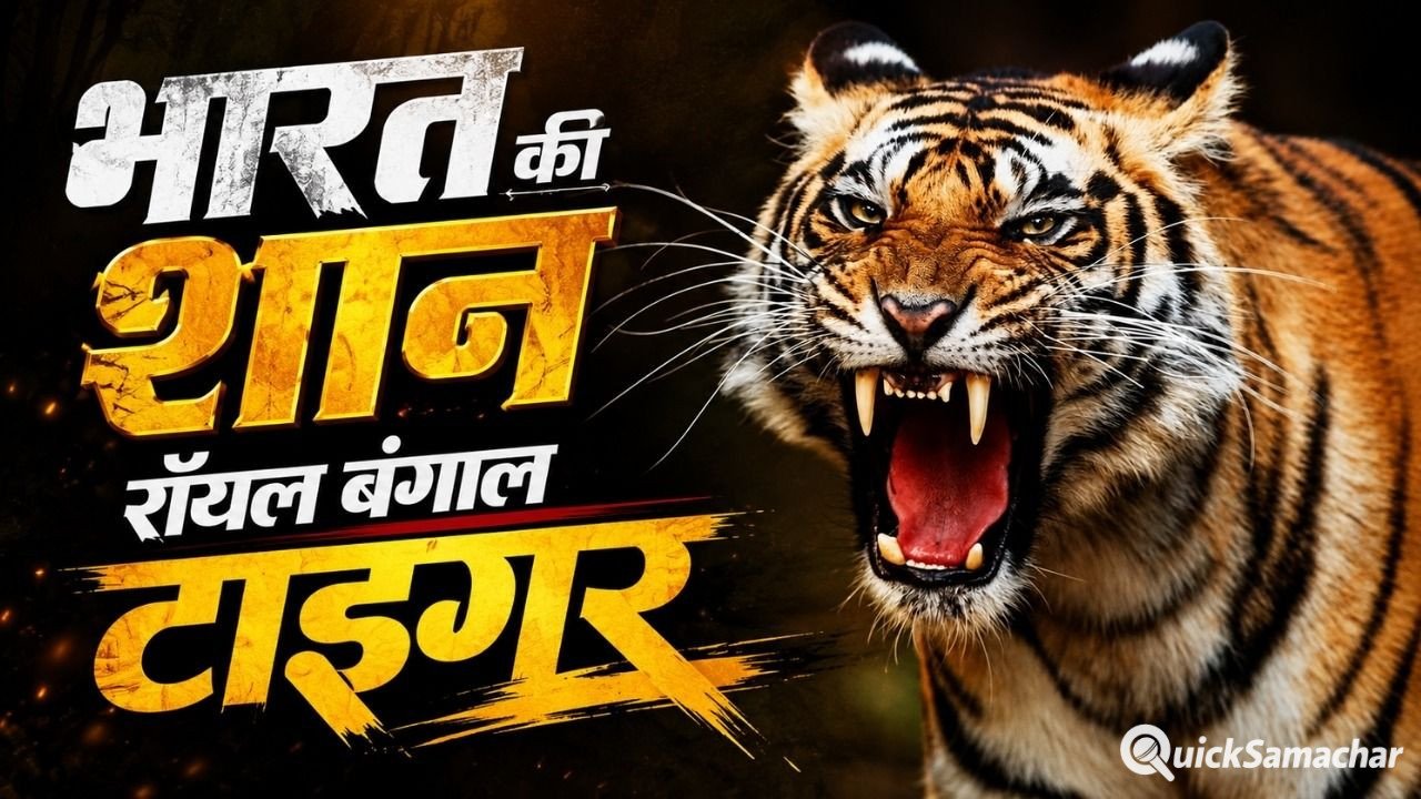 International Tiger Day: दूसरे देशों के बाघों से कैसे अलग हैं भारत के टाइगर ? जानें रॉयल बंगाल टाइगर के बारे में खास बातें International Tiger Day: दूसरे देशों के बाघों से कैसे अलग हैं भारत के टाइगर ? जानें रॉयल बंगाल टाइगर के बारे में खास बातें