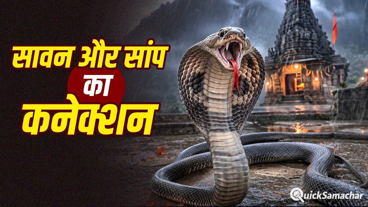 सावन में ही क्यों निकलते हैं ज्यादा सांप, क्या नाग पंचमी से है कनेक्शन? सावन में ही क्यों निकलते हैं ज्यादा सांप, क्या नाग पंचमी से है कनेक्शन?