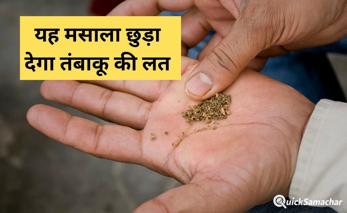 सिगरेट या गुटका छुड़वा देगा रसोई का यह एक मसाला, एक्सपर्ट ने कहा तंबाकू लेने की इच्छा ही नहीं होगी