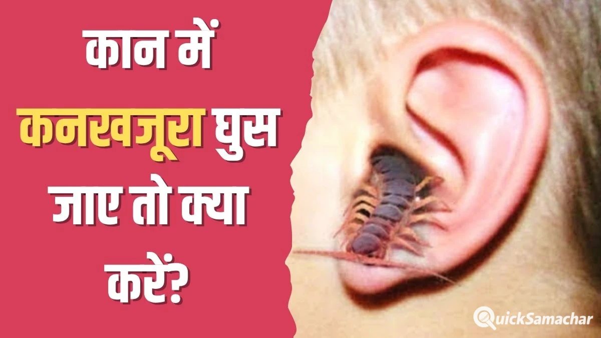 कान में कनखजूरा घुस जाए तो क्या करें? योग गुरु कैलाश बिश्नोई ने बताया इस एक काम को करने पर तुरंत आ जाएगा बाहर कान में कनखजूरा घुस जाए तो क्या करें? योग गुरु कैलाश बिश्नोई ने बताया इस एक काम को करने पर तुरंत आ जाएगा बाहर