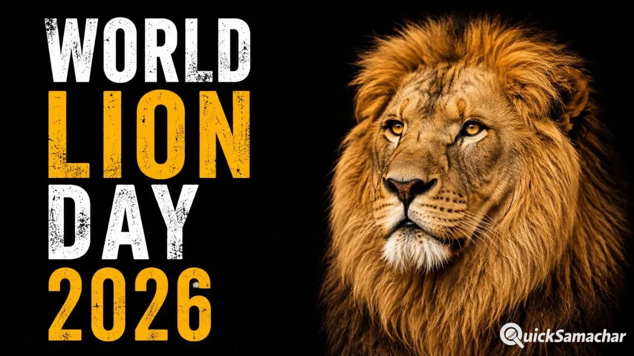 World Lion Day 2026: भारत के एशियाई शेर कितने खास हैं? गिर के जंगल से जानें उनकी जिंदगी और संरक्षण की कहानी World Lion Day 2026: भारत के एशियाई शेर कितने खास हैं? गिर के जंगल से जानें उनकी जिंदगी और संरक्षण की कहानी