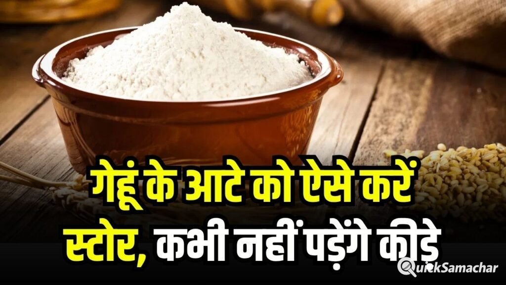 गेहूं का आटा ऐसे करें स्टोर, महीनों तक नहीं पड़ेंगे कीड़े
