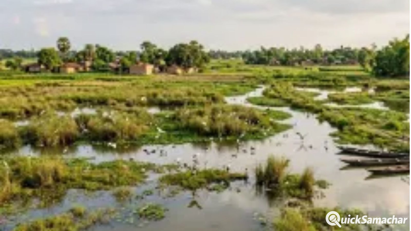Bareilly News : बरेली में परदेसी पक्षियों के लिए 50 हेक्टेयर में तैयार किए जाएंगे प्राकृतिक ठिकाने Bareilly News : बरेली में परदेसी पक्षियों के लिए 50 हेक्टेयर में तैयार किए जाएंगे प्राकृतिक ठिकाने