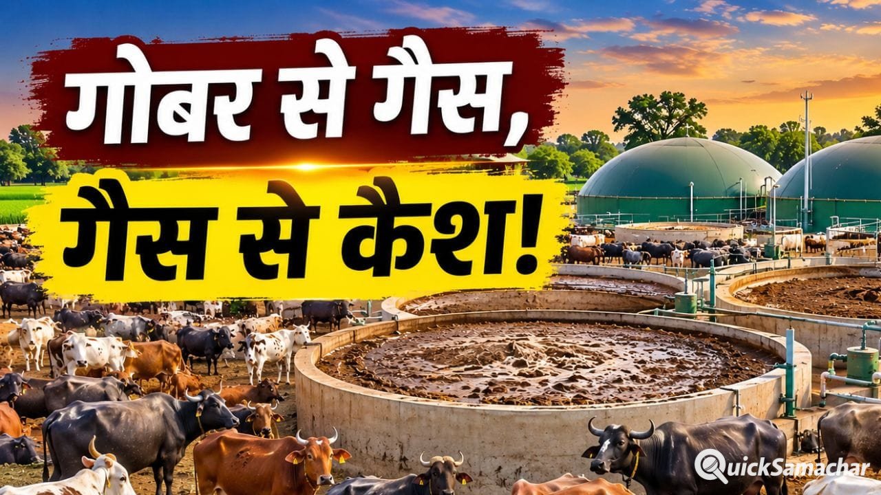 कचरे से बनेगा पैसा… समझिए ‘गोबर इकोनॉमी’ का वो मास्टरप्लान, जो बदल सकता है किसानों और पशुपालकों की किस्मत! कचरे से बनेगा पैसा… समझिए ‘गोबर इकोनॉमी’ का वो मास्टरप्लान, जो बदल सकता है किसानों और पशुपालकों की किस्मत!