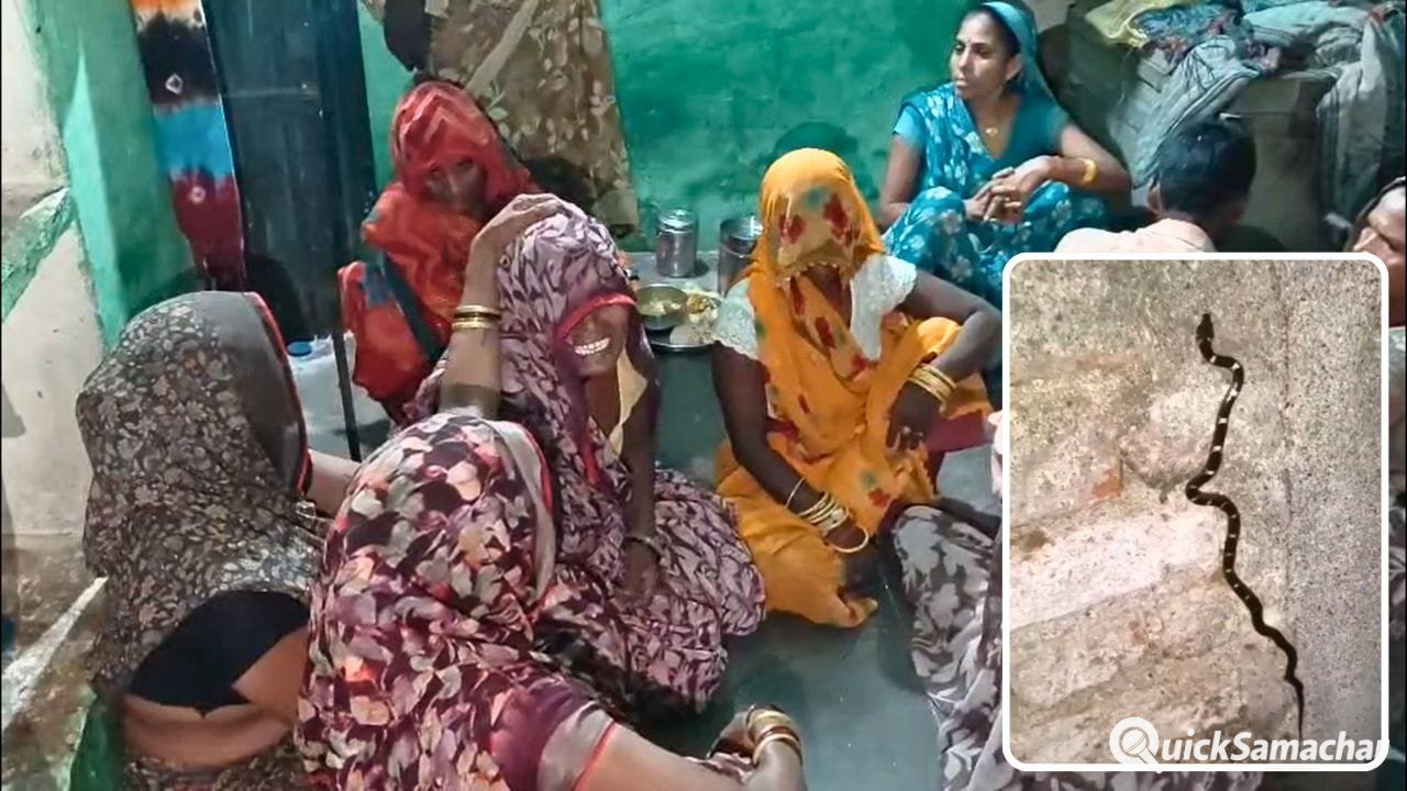 तीन दिन पहले सांप को मारा, दूसरे ने दो मासूमों को डसा, भाई की मौत… बहन वेंटिलेटर पर तीन दिन पहले सांप को मारा, दूसरे ने दो मासूमों को डसा, भाई की मौत… बहन वेंटिलेटर पर