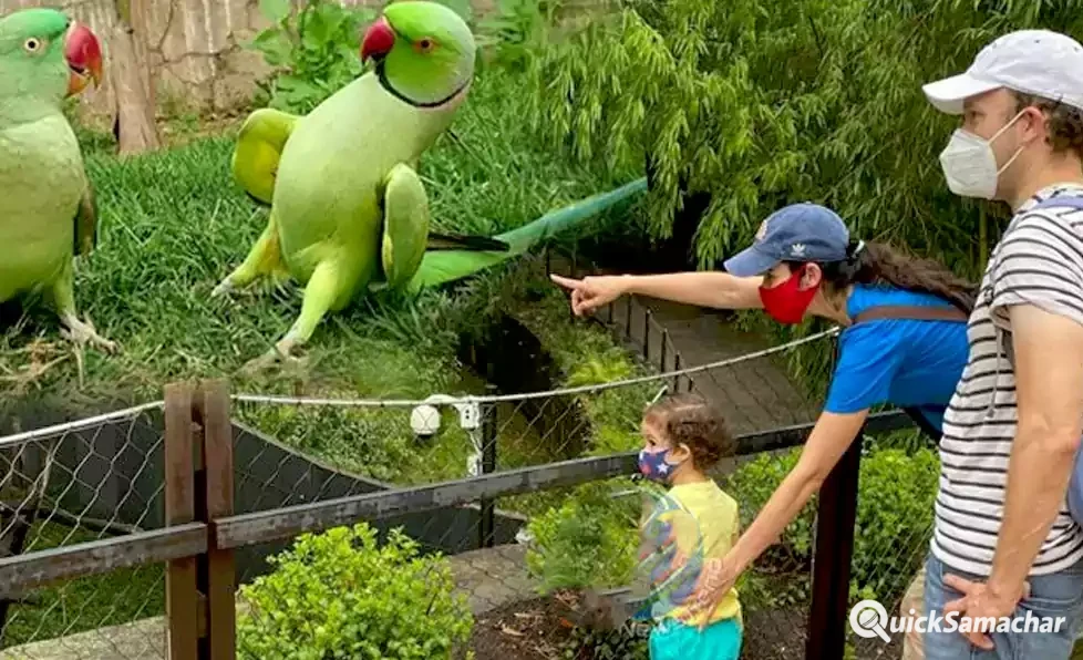 330