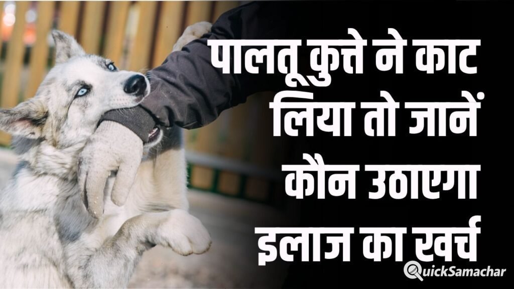 आपके पालतू कुत्ते ने किसी को काटा तो क्या होगा? जानें कौन उठाएगा इलाज का खर्च