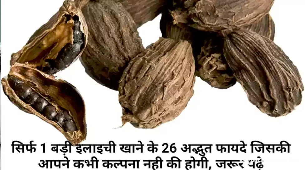 ayurveda 1