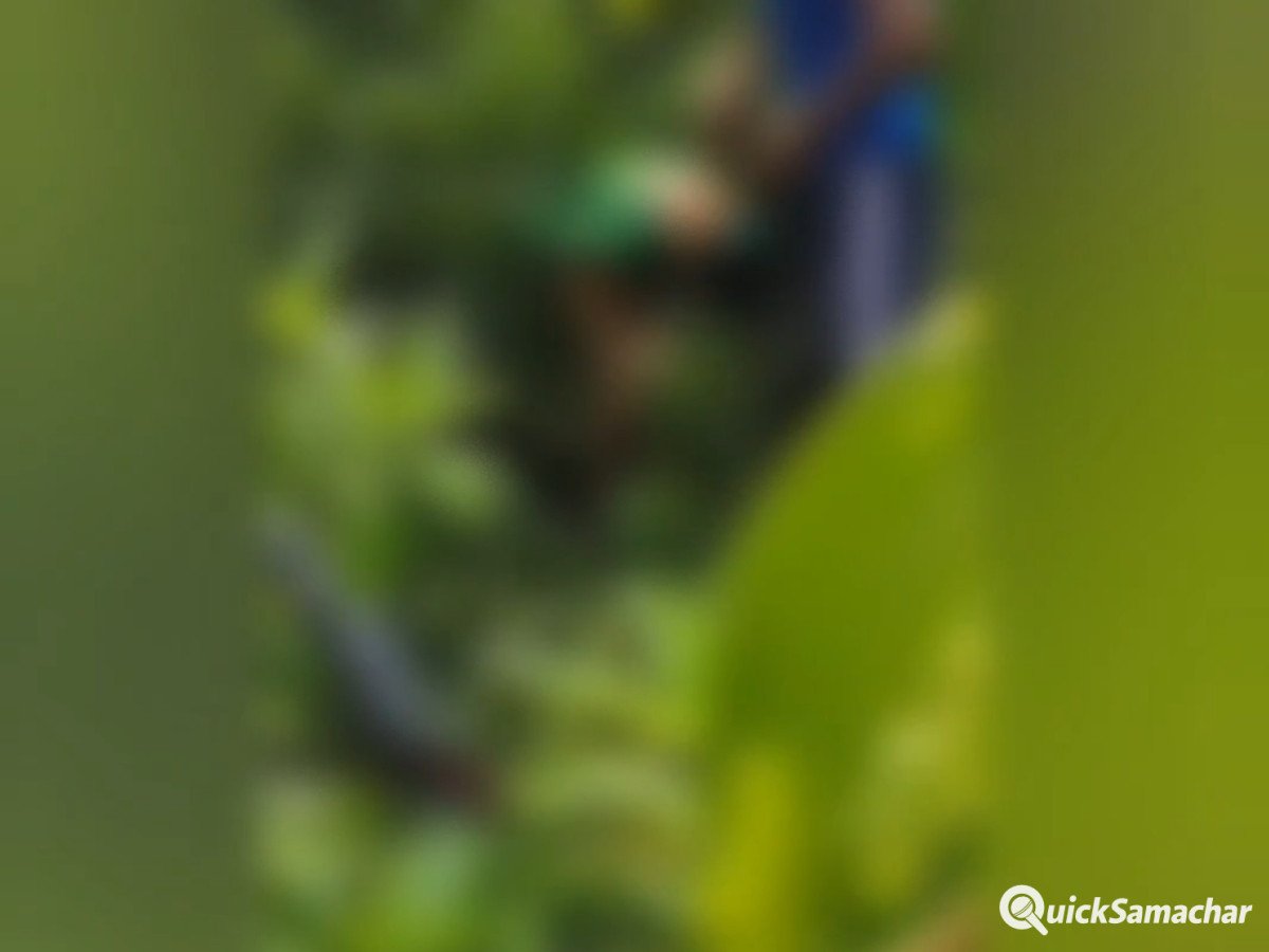 Featured Image