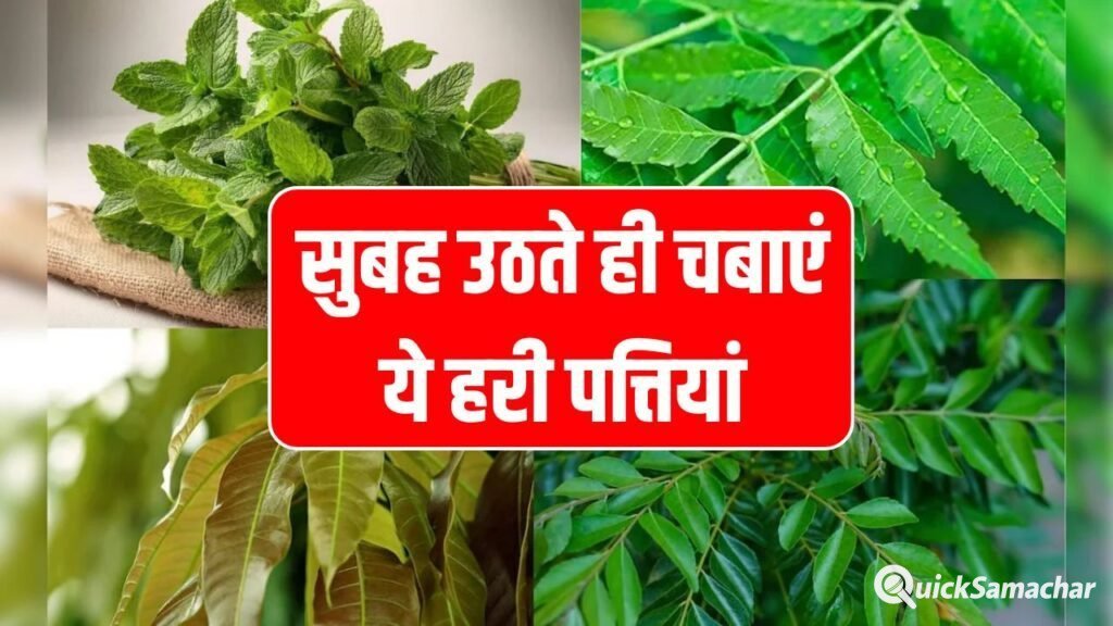 सुबह उठते ही चबाएं ये हरी पत्तियां! 4 बड़ी स्वास्थ्य समस्याओं से तुरंत राहत पाएं