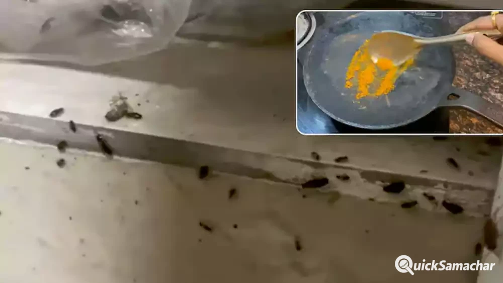 haldi