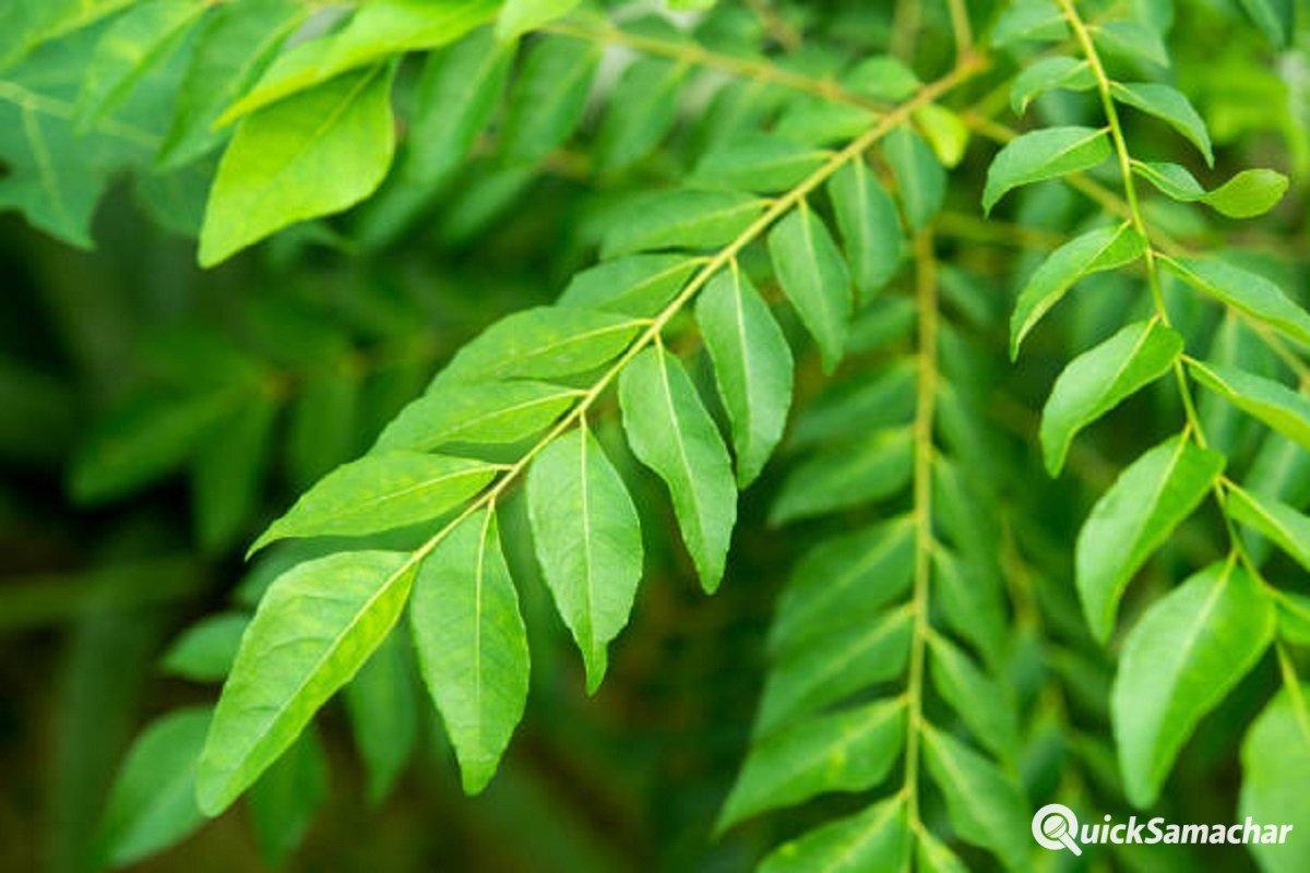 istockphoto-1087510858-612×612-1