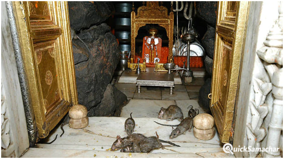 karni-mata-mandir-31-03-2023-1