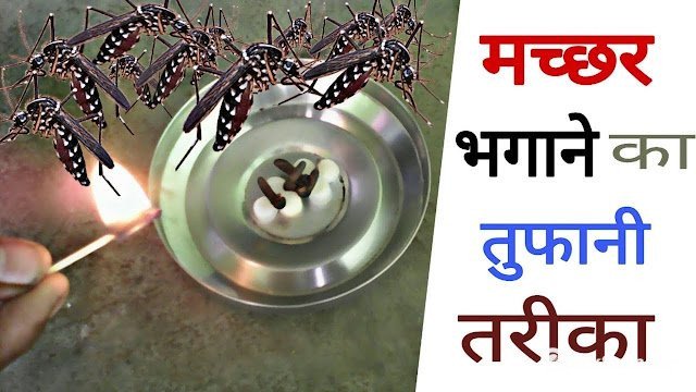 Featured Image