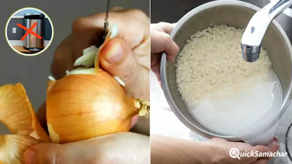 pyaj ka chhilka