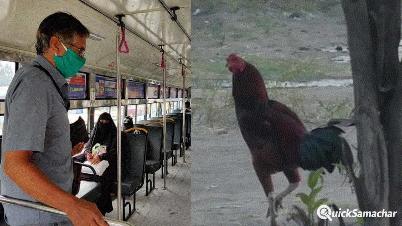 rooster-ticket