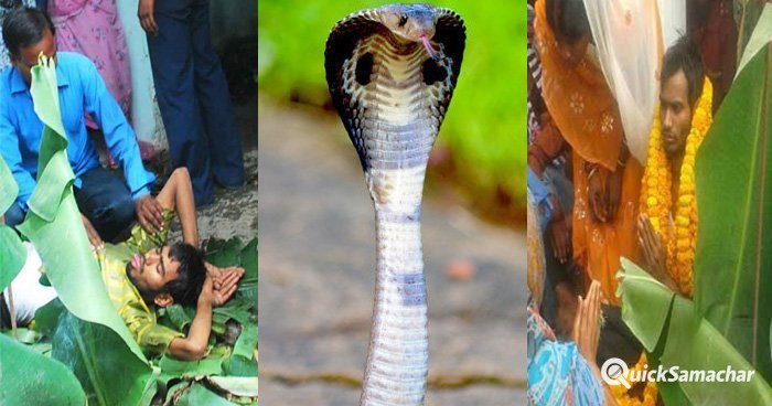 snake