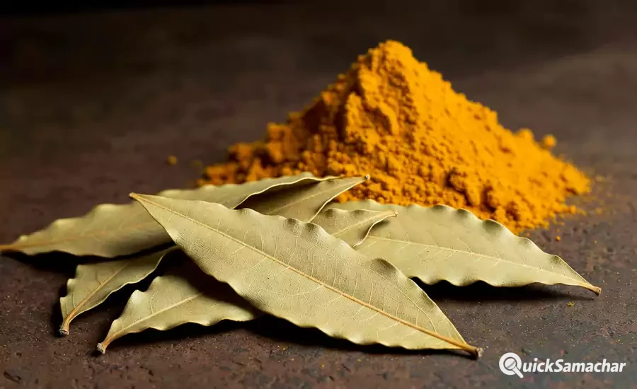 tezzptta aur haldi