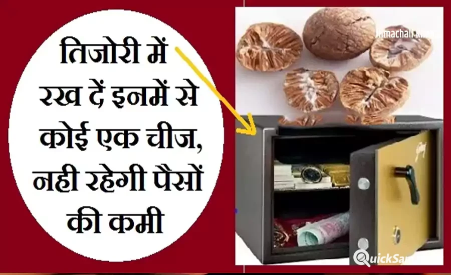 तिजोरी में रख दें इनमें से कोई एक चीज, हमेशा बनी रहेगी धन की बरकत और नहीं होगी पैसों की कमी