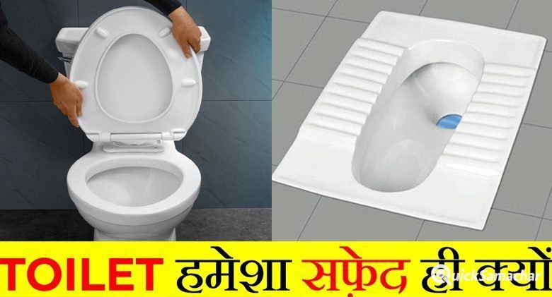 toilet-seat-20-4-23-2-780×421